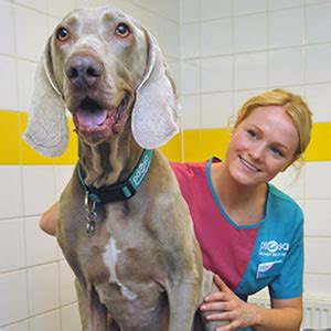 Winners of the latest PDSA Prize Draw .